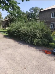 Стрижка кустарника (До)